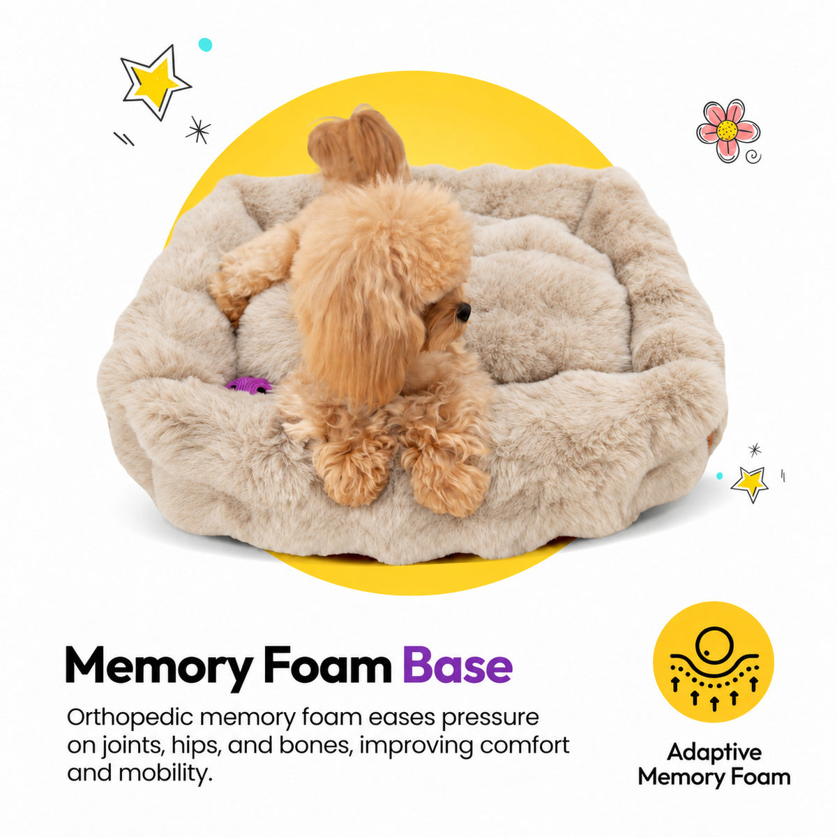 Cream | Furry Curves Rectangle Bed: Toy poodle in the Cream bed, headed Memory Foam Base