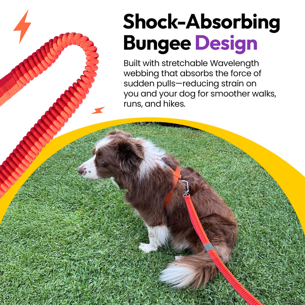 Explorer Bungee Leash, Red