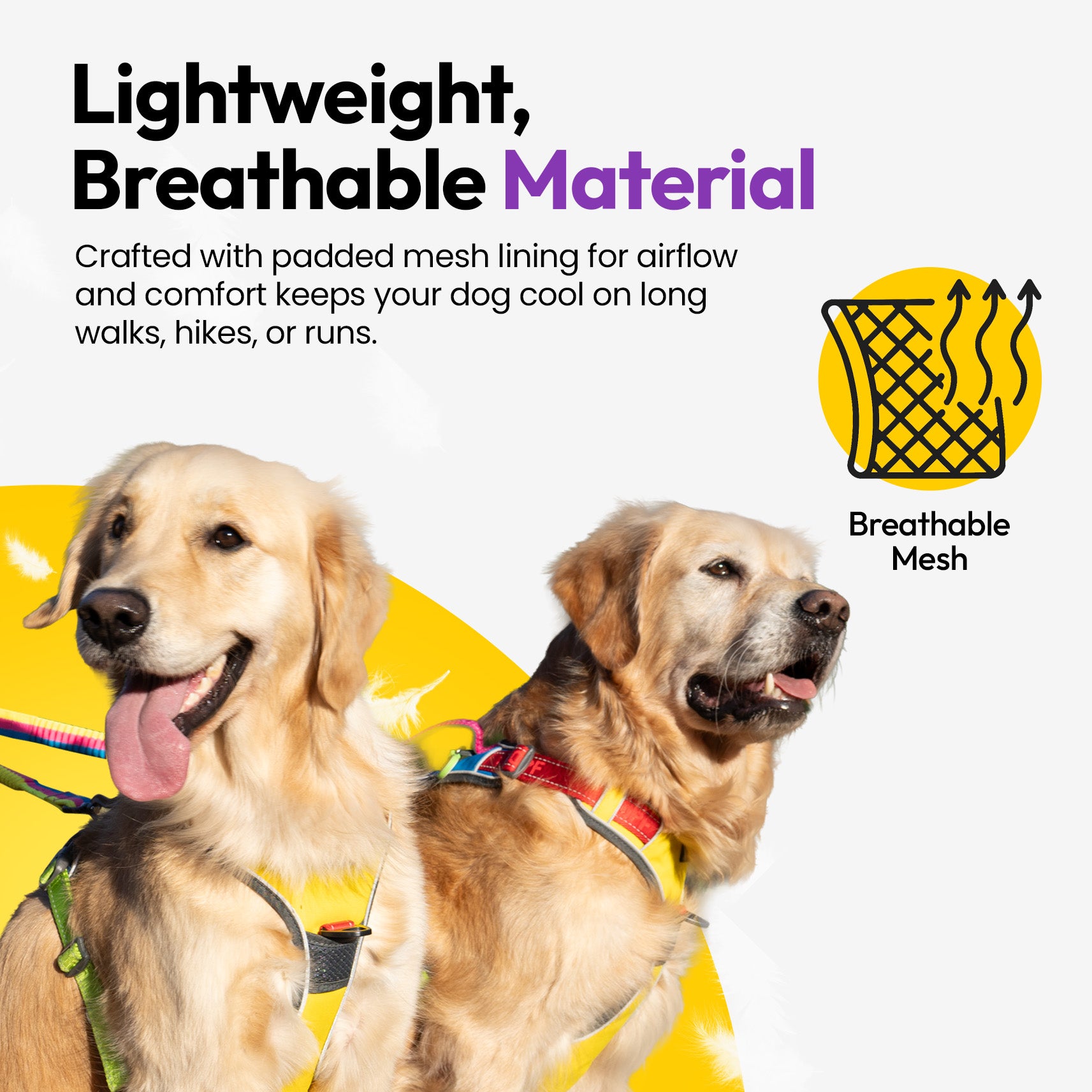 Entdecker Geschirr ohne Ziehen