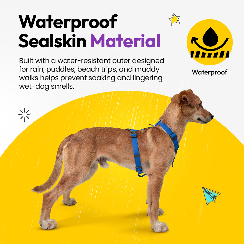 Sealskin Harness, Blue