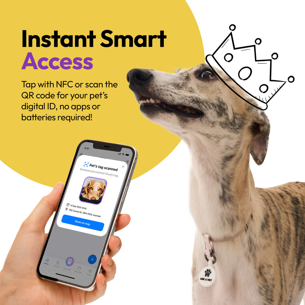 Smart ID Tag, White