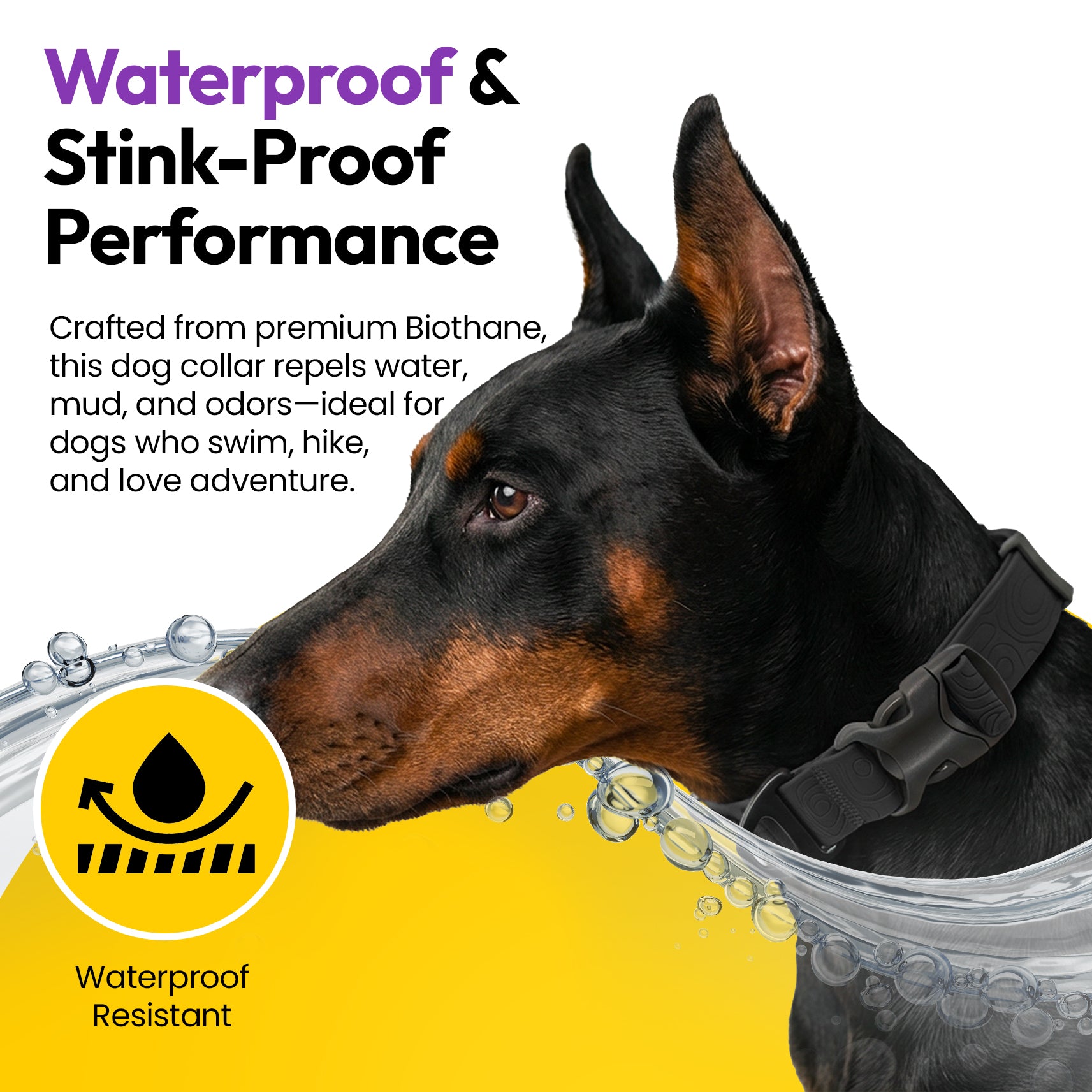 Sealskin 防水狗项圈