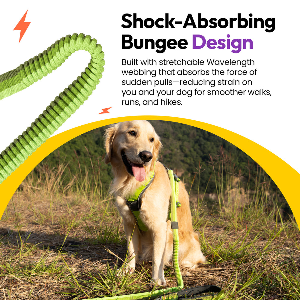 Explorer Bungee Leash, Green