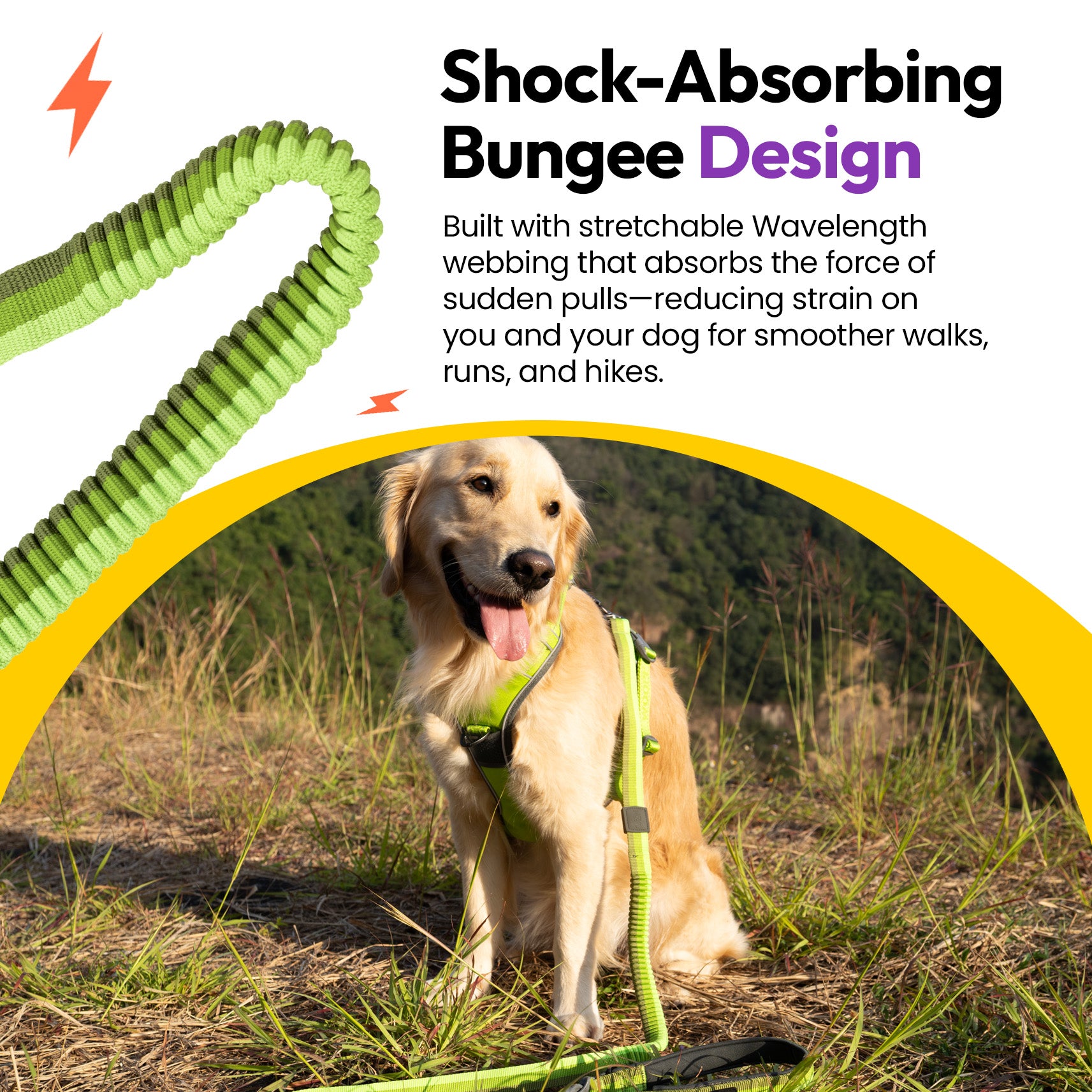 PADDY'S GARDEN BUNDLE