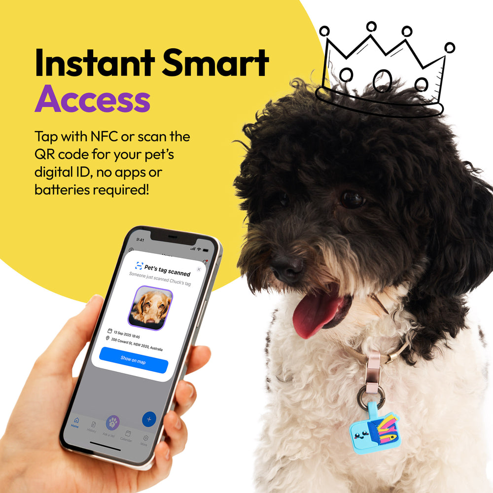Smart ID Tag, Sardines