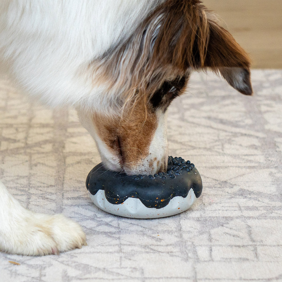 Black | Chewster Donut: Merle dog chewing the Black ring on a grey rug