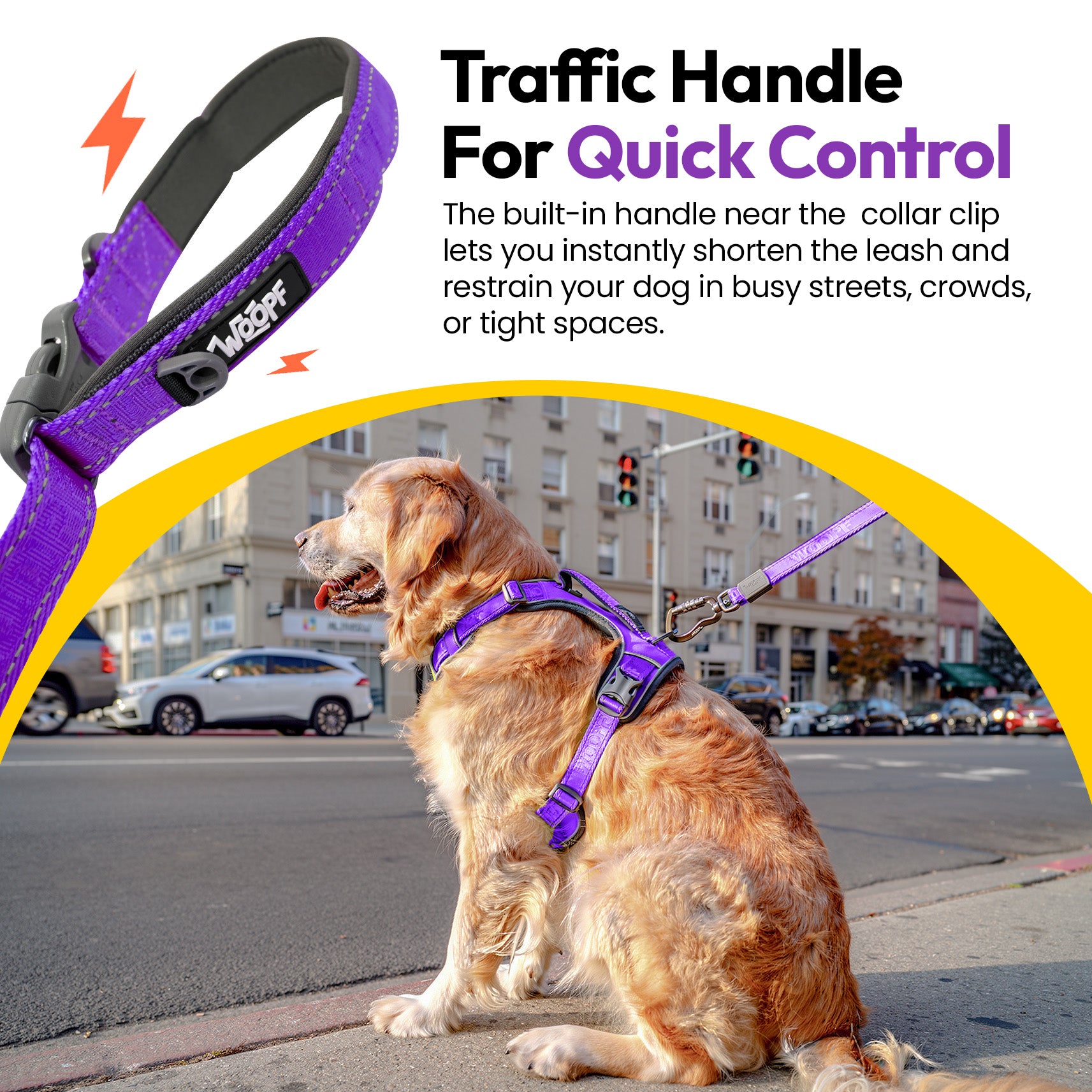 Laisse extensible Explorateur