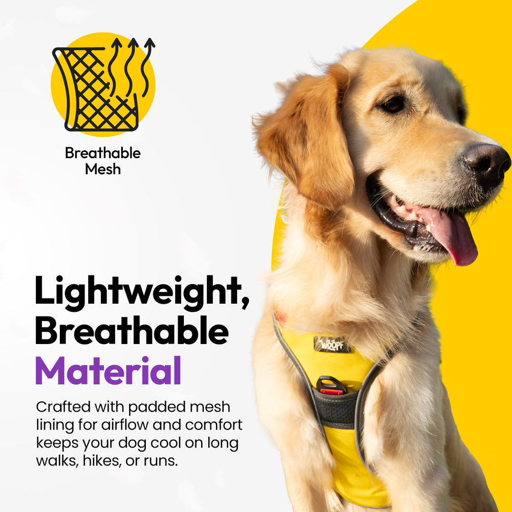 Explorer Harness, Yellow