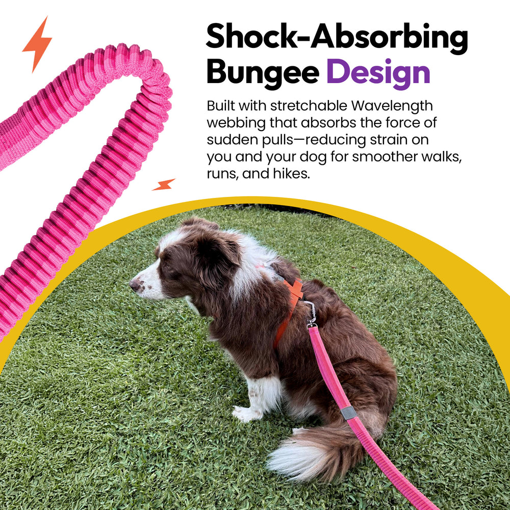 Explorer Bungee Leash, Pink
