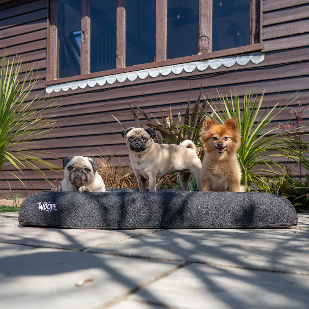 SNÜZ Bed Cover (Dig-Proof & Waterproof)