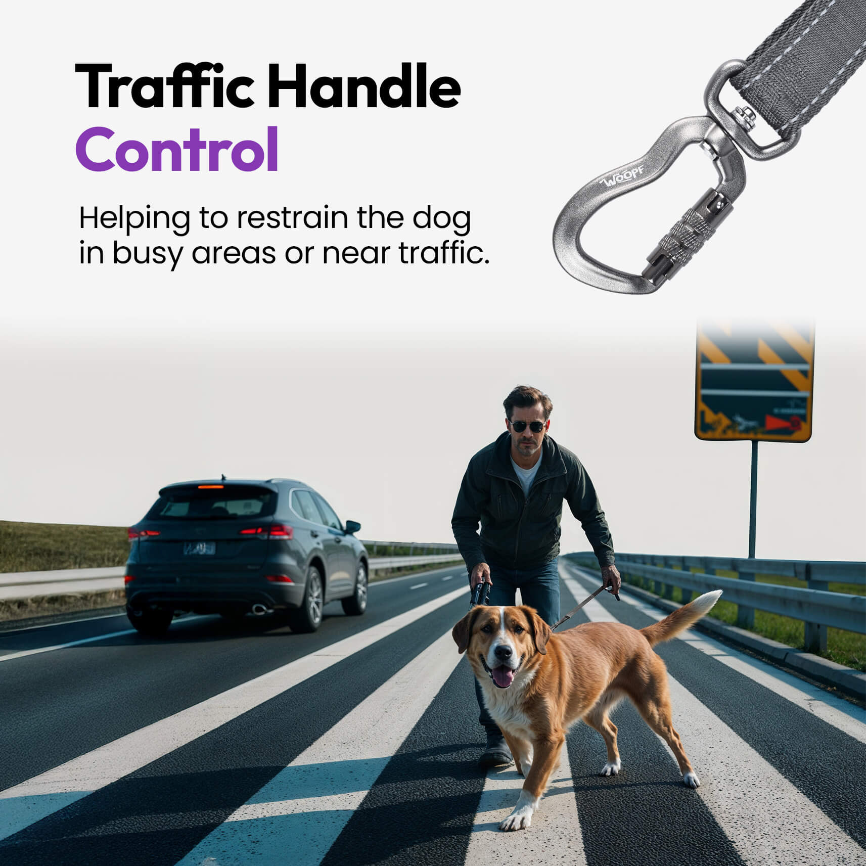 PAQUETE URBANO PARA PERROS