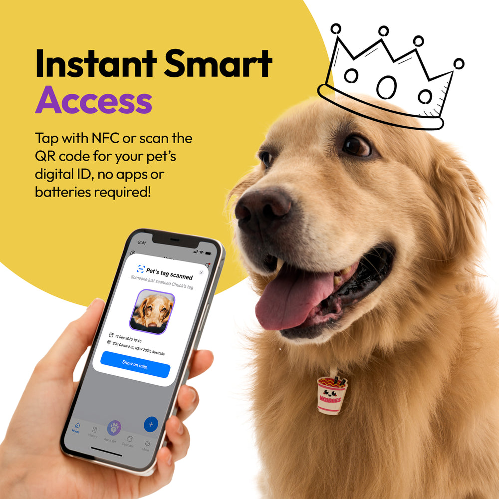 Smart ID Tag, Ramen