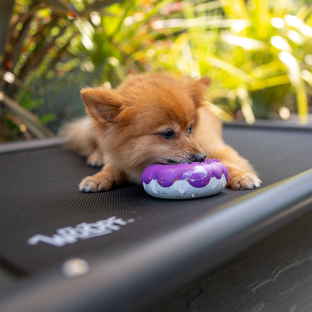 Chewster Donut, Purple