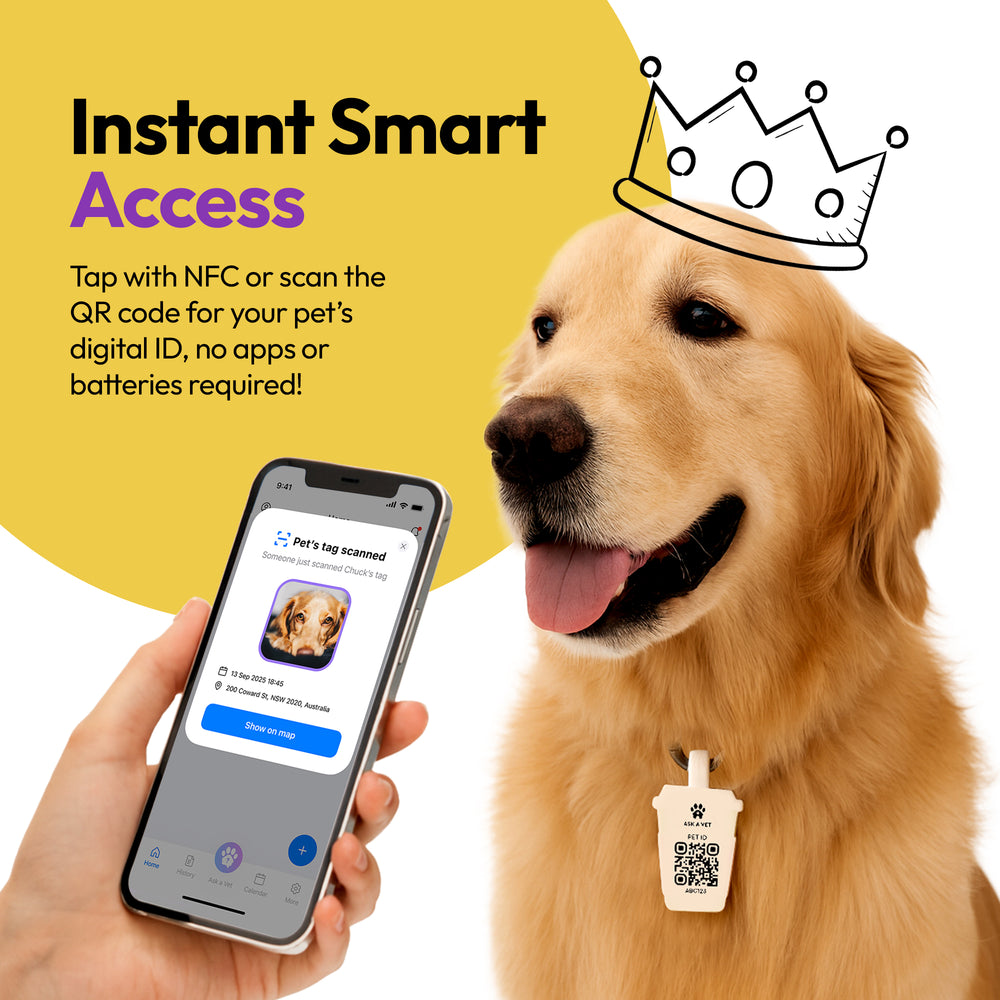 Smart ID Tag, Sakura Matcha