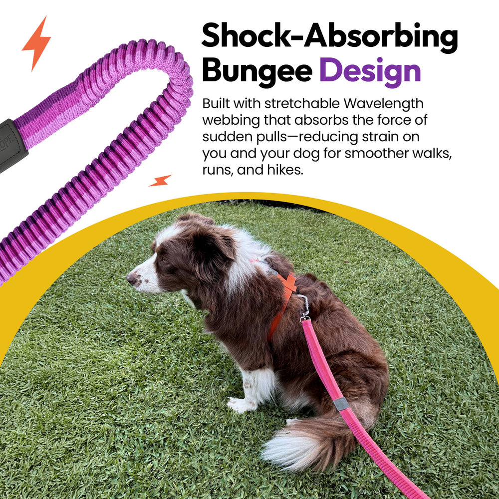 Explorer Bungee Leash, Purple