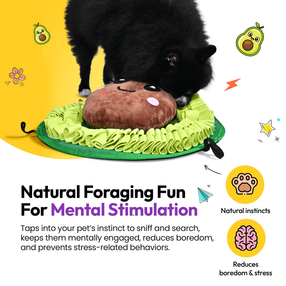 Sniff & Snuffle Bundle, Avocado