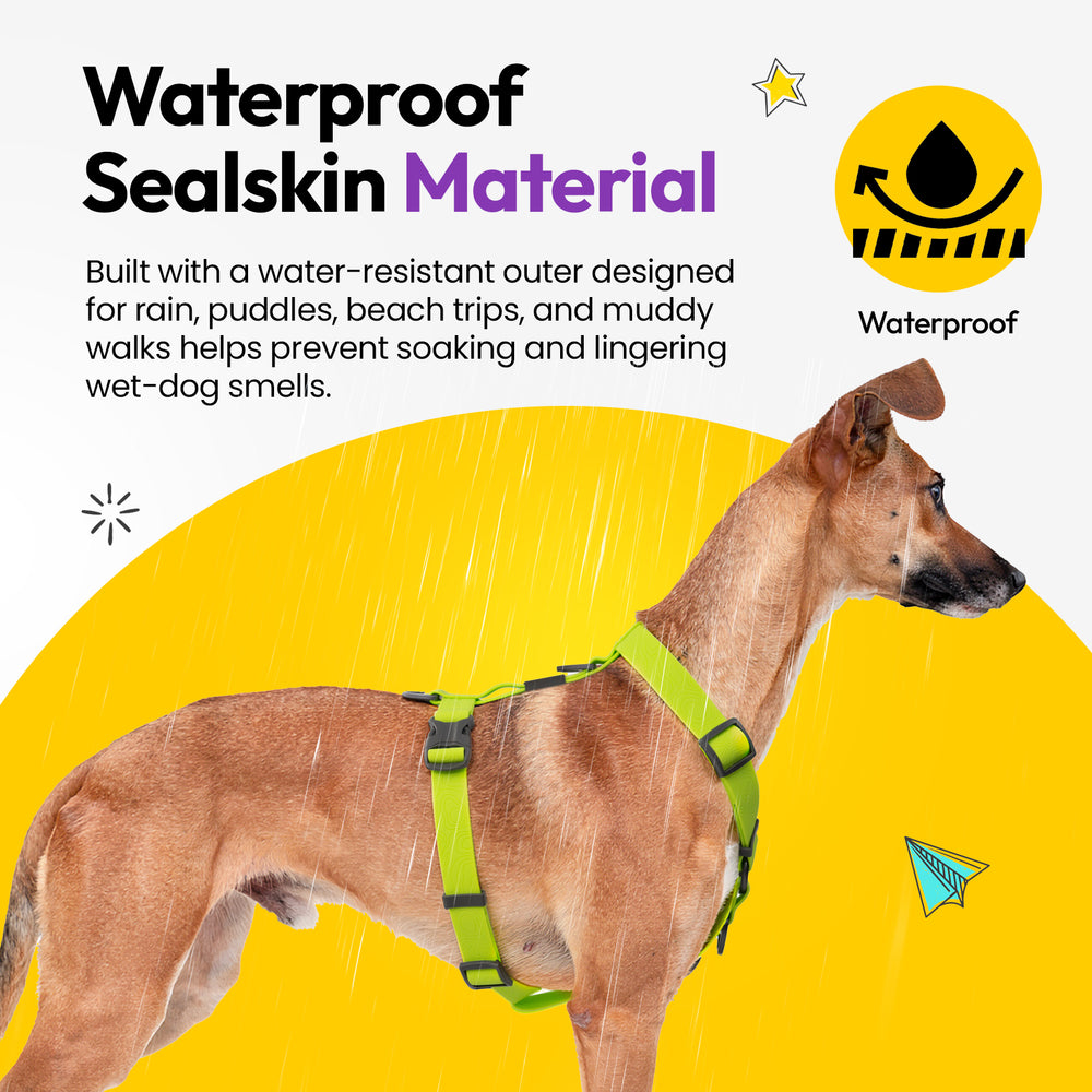 Sealskin Harness, Green