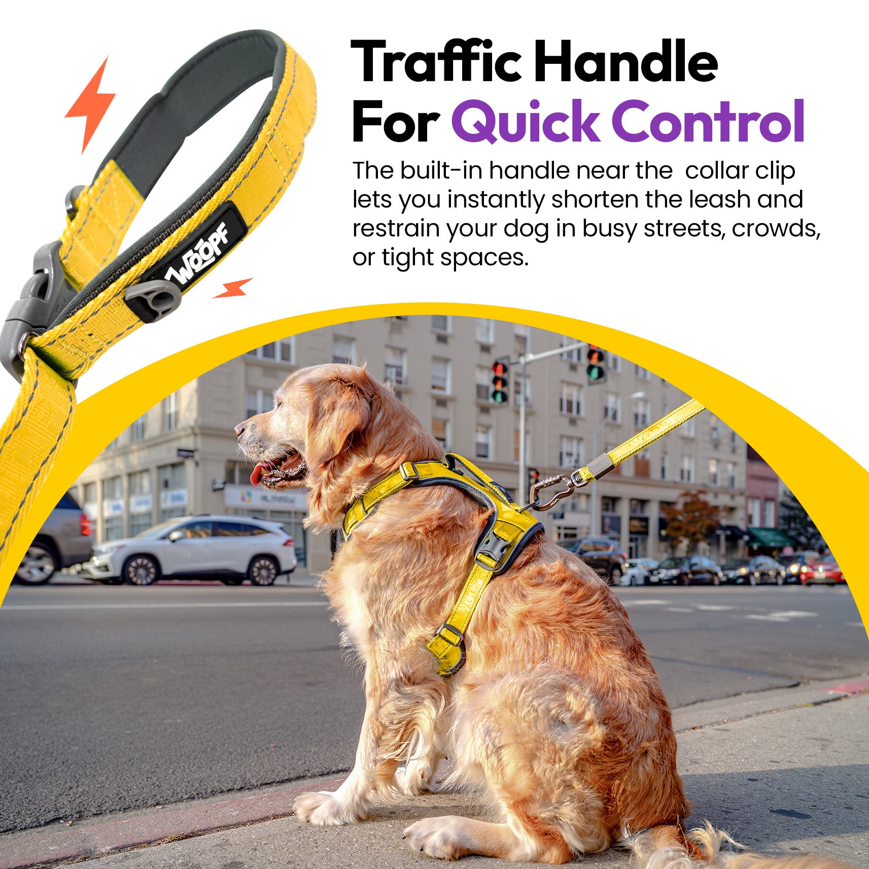 Laisse extensible Explorateur