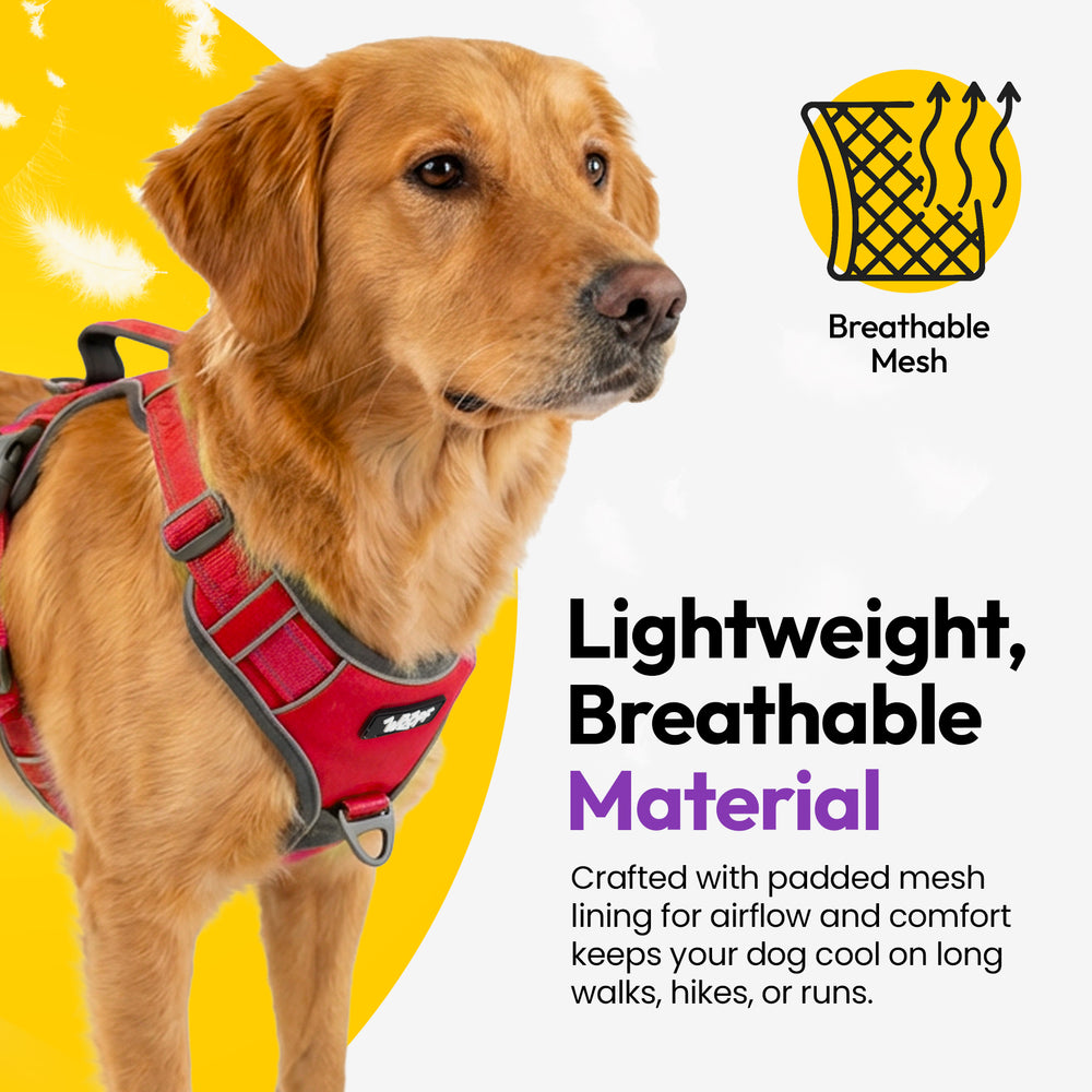 Explorer Harness, Red
