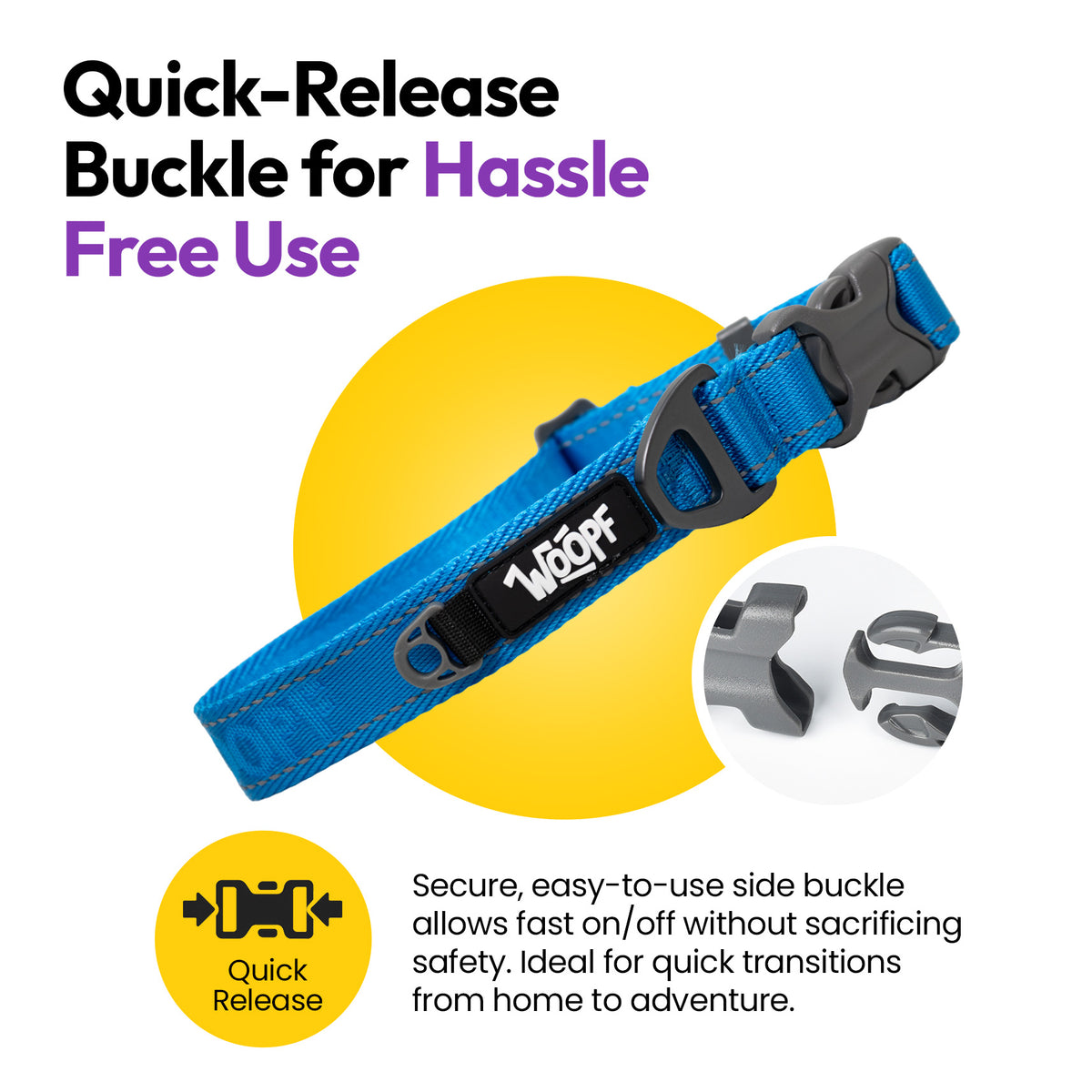 Blue | Explorer Collar: The Blue collar's side-release buckle, on a card headed Quick-Release Buckle for Hassle Free Use