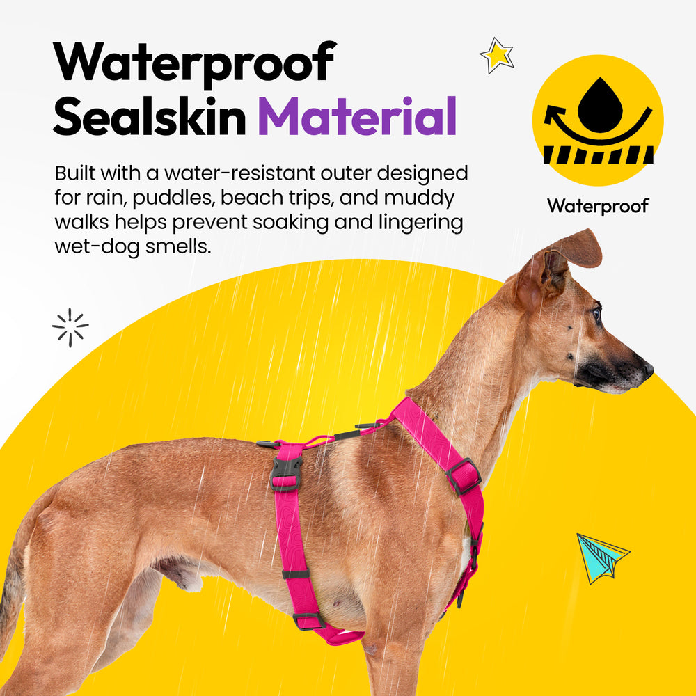 Sealskin Harness, Pink