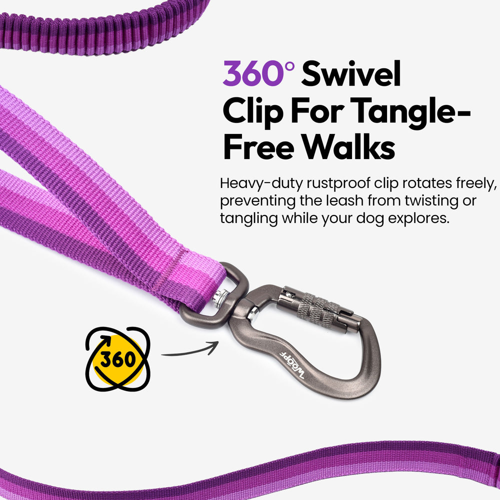 Explorer Bungee Leash, Purple