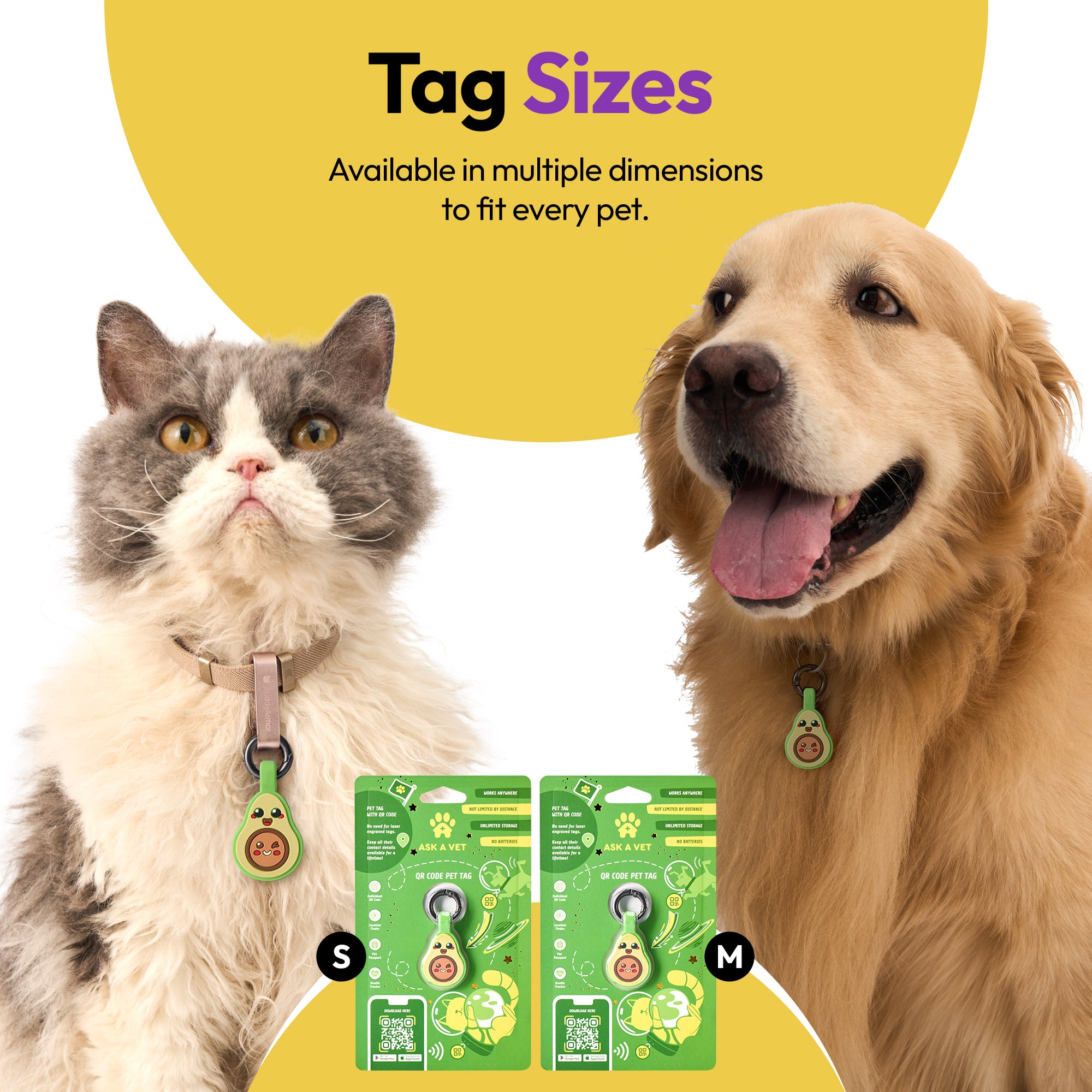 PADDY'S GARDEN BUNDLE