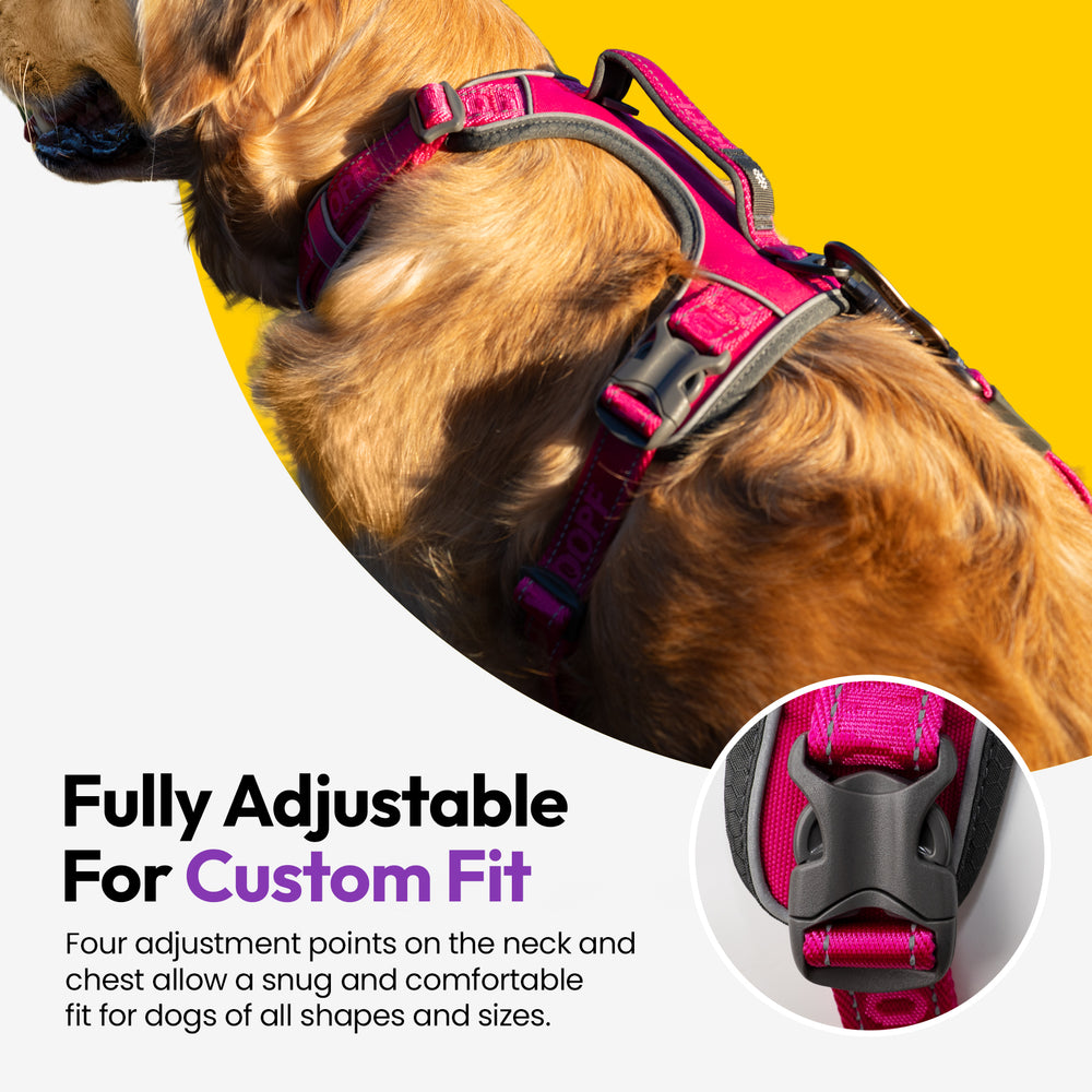 Explorer Harness, Pink