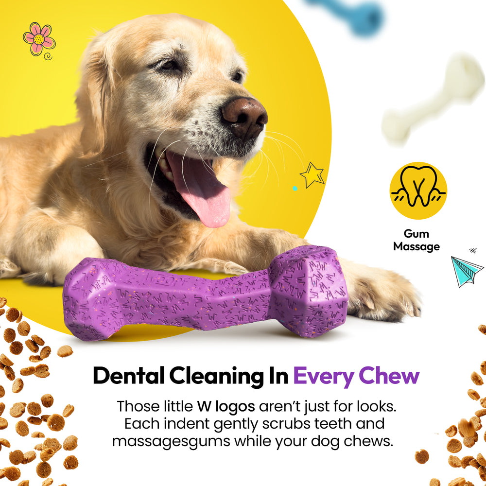 Chewster Blocky Bone, Purple