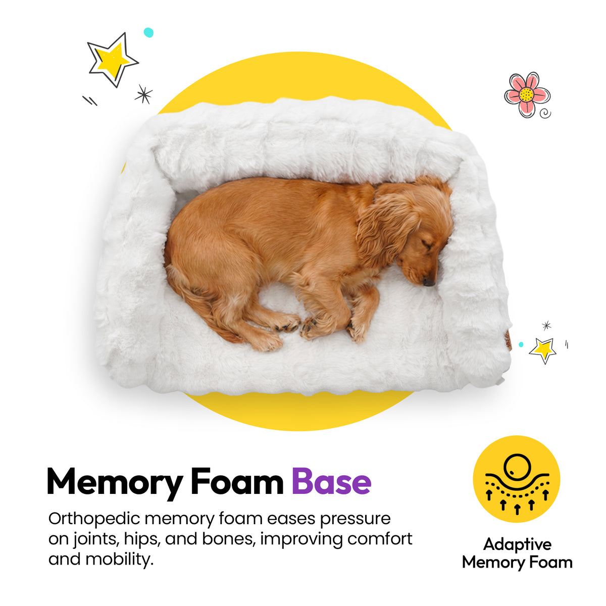 White | Furry Curves Open Front Rectangle Bed: Memory foam base: a golden dog asleep in the White bed