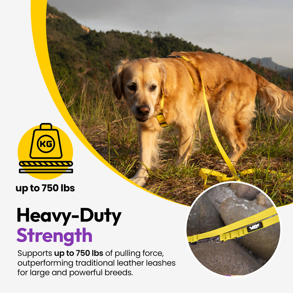 Sealskin Extendable Leash, Yellow