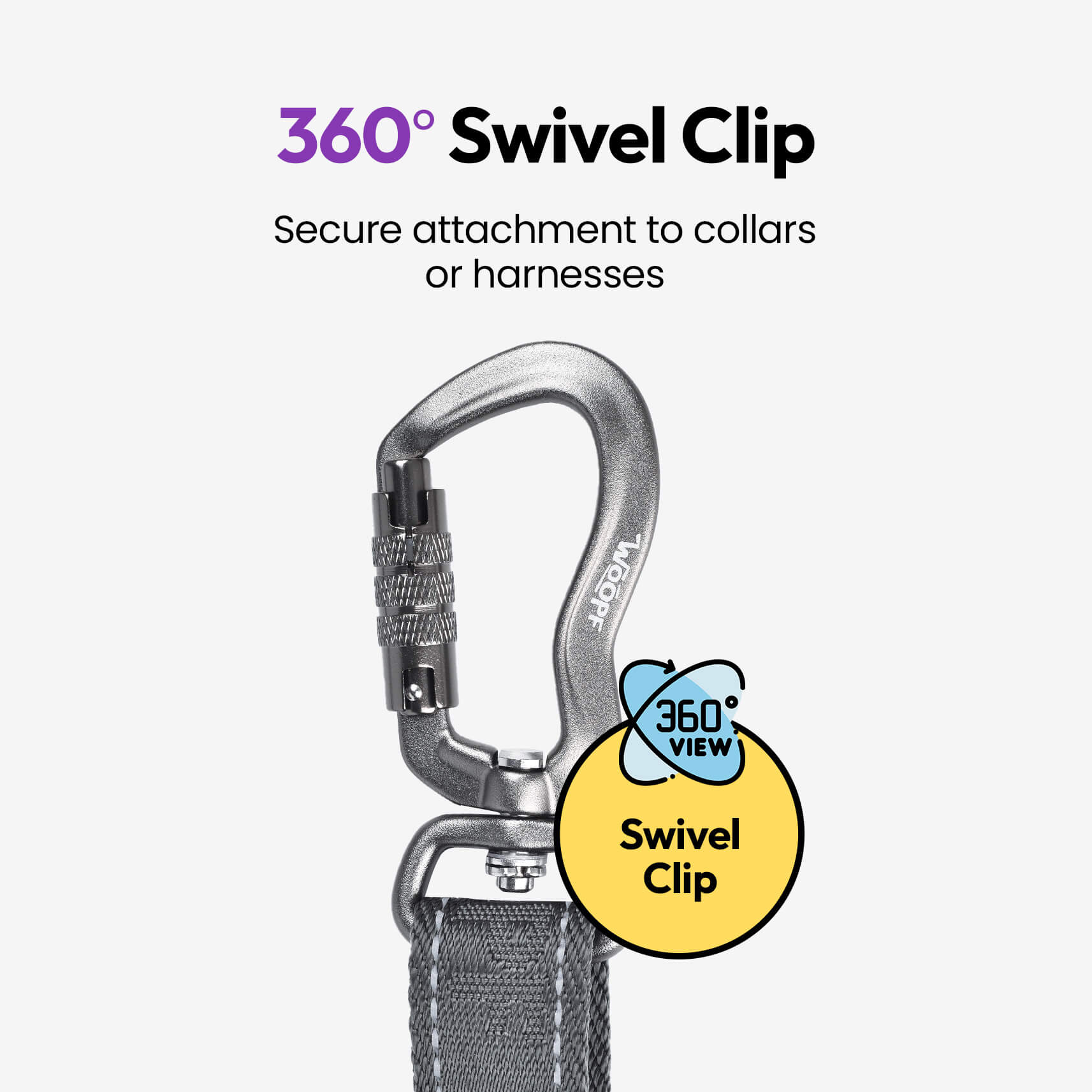 PAQUETE URBANO PARA PERROS