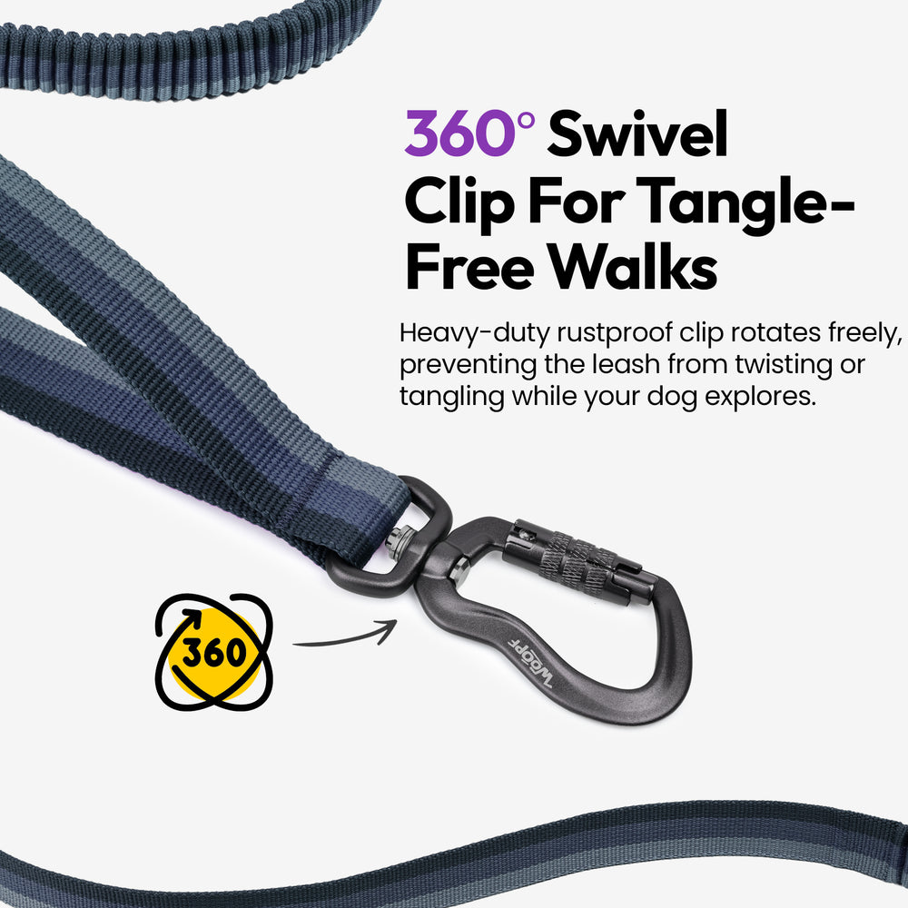 Explorer Bungee Leash, Grey