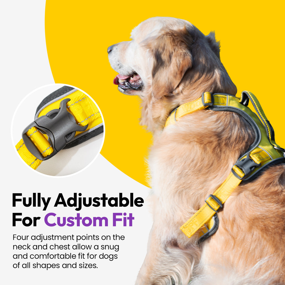 Explorer Harness, Yellow
