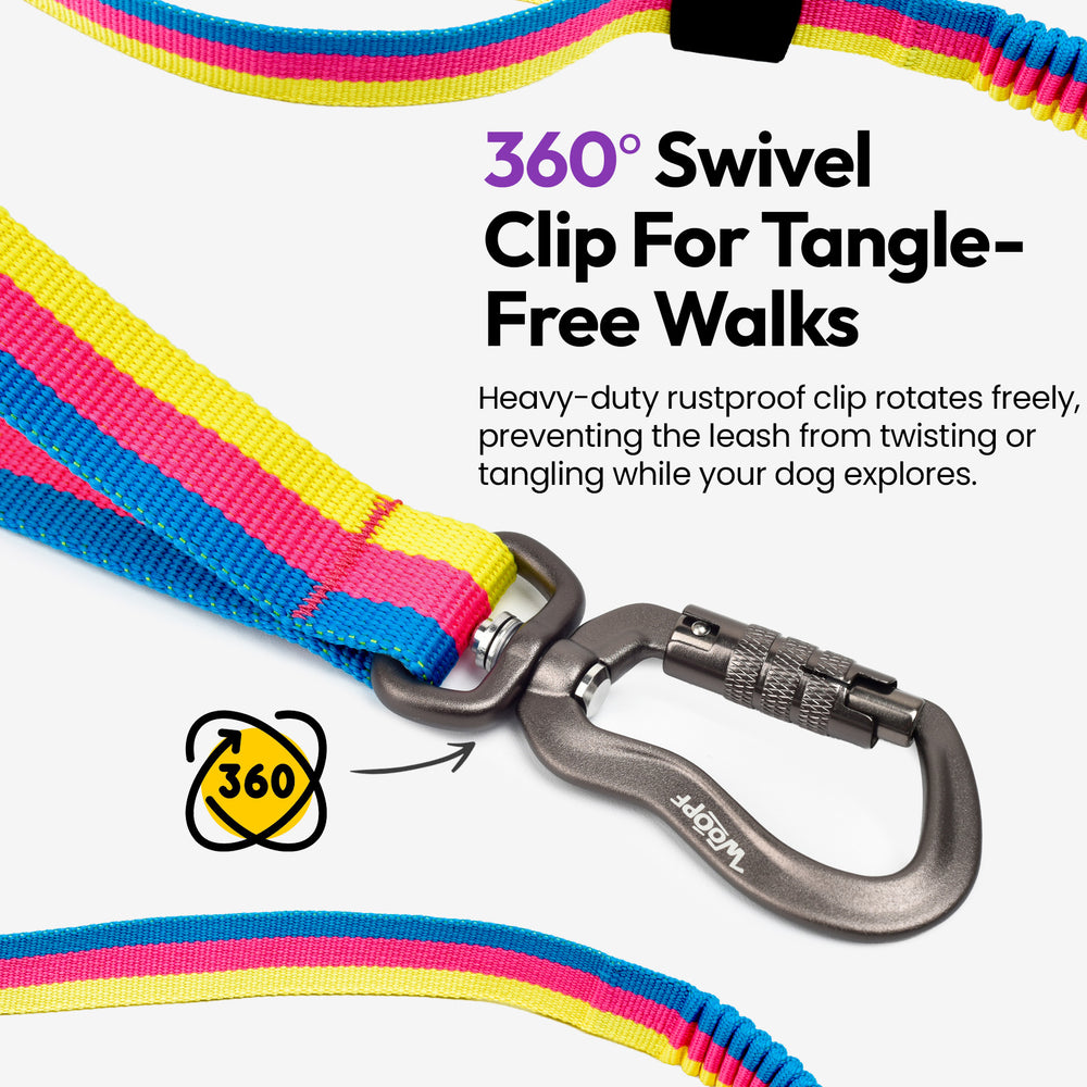 Explorer Bungee Leash, Rainbow