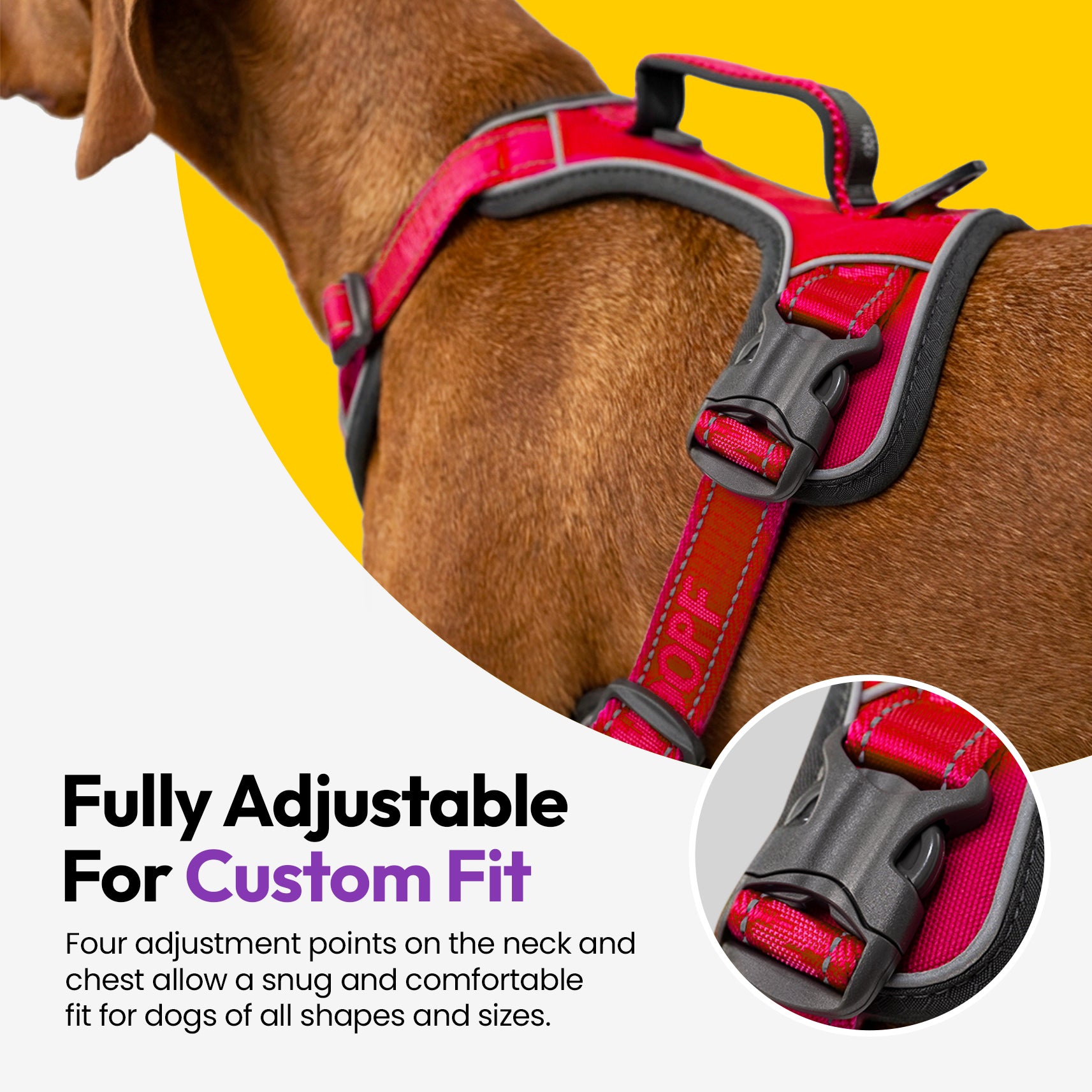 Entdecker Geschirr ohne Ziehen