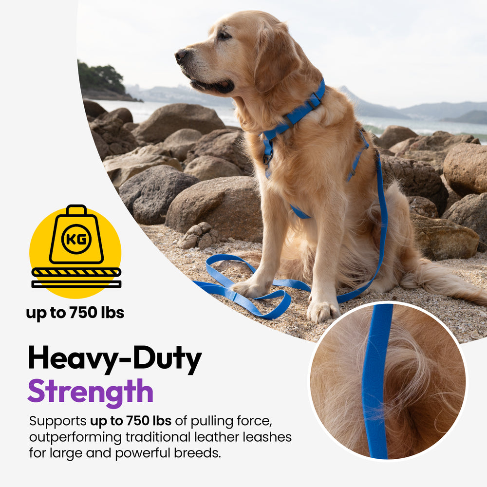 Sealskin Extendable Leash, Blue