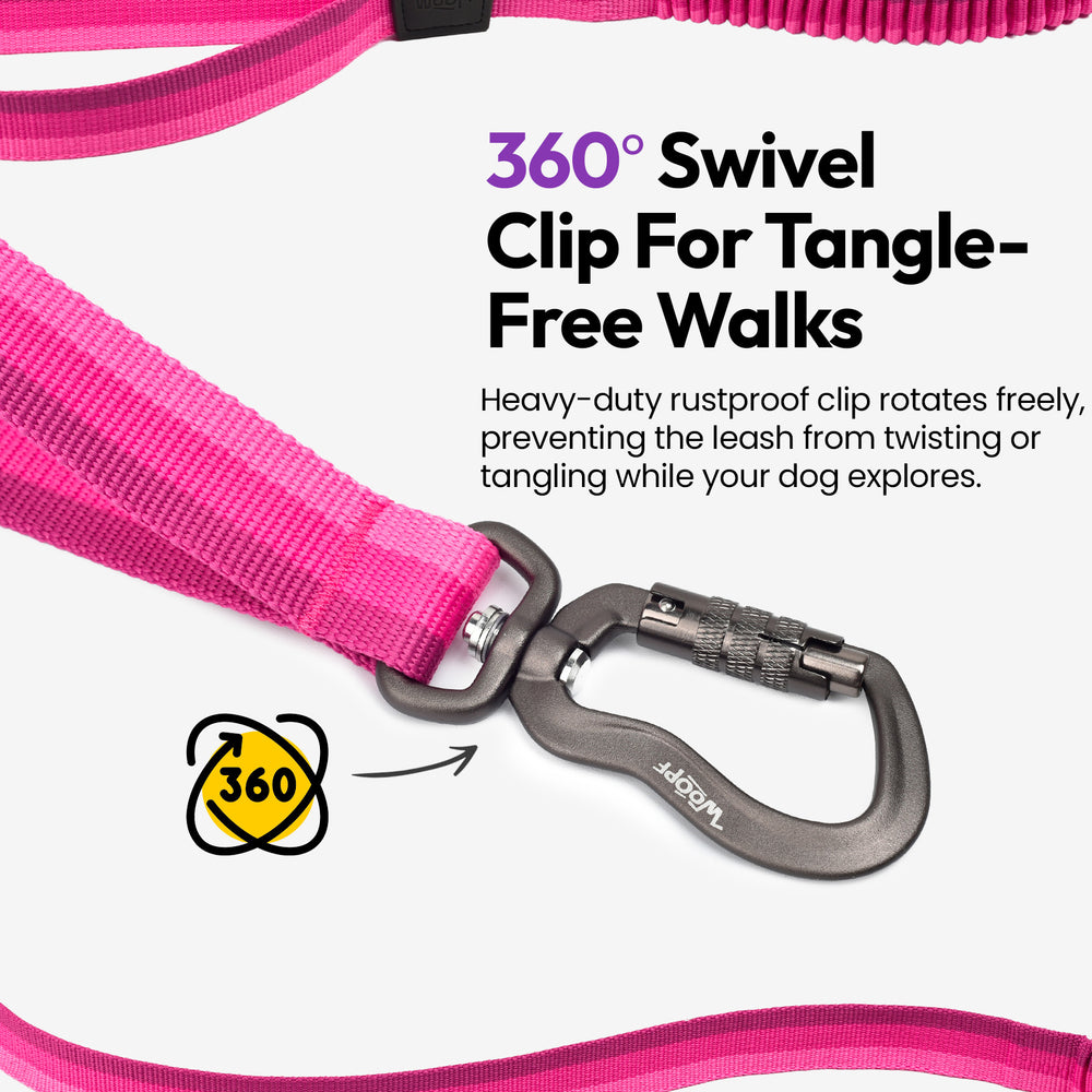 Explorer Bungee Leash, Pink