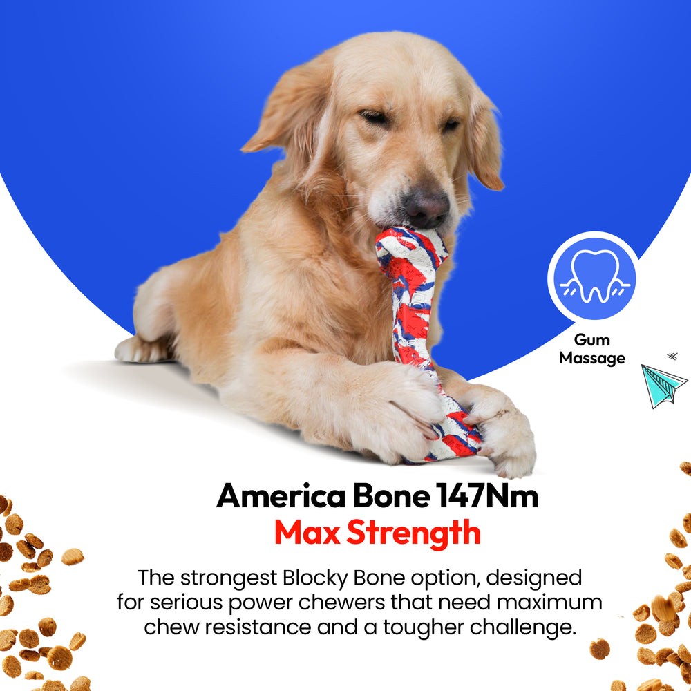 Chewster Blocky Bone, USA