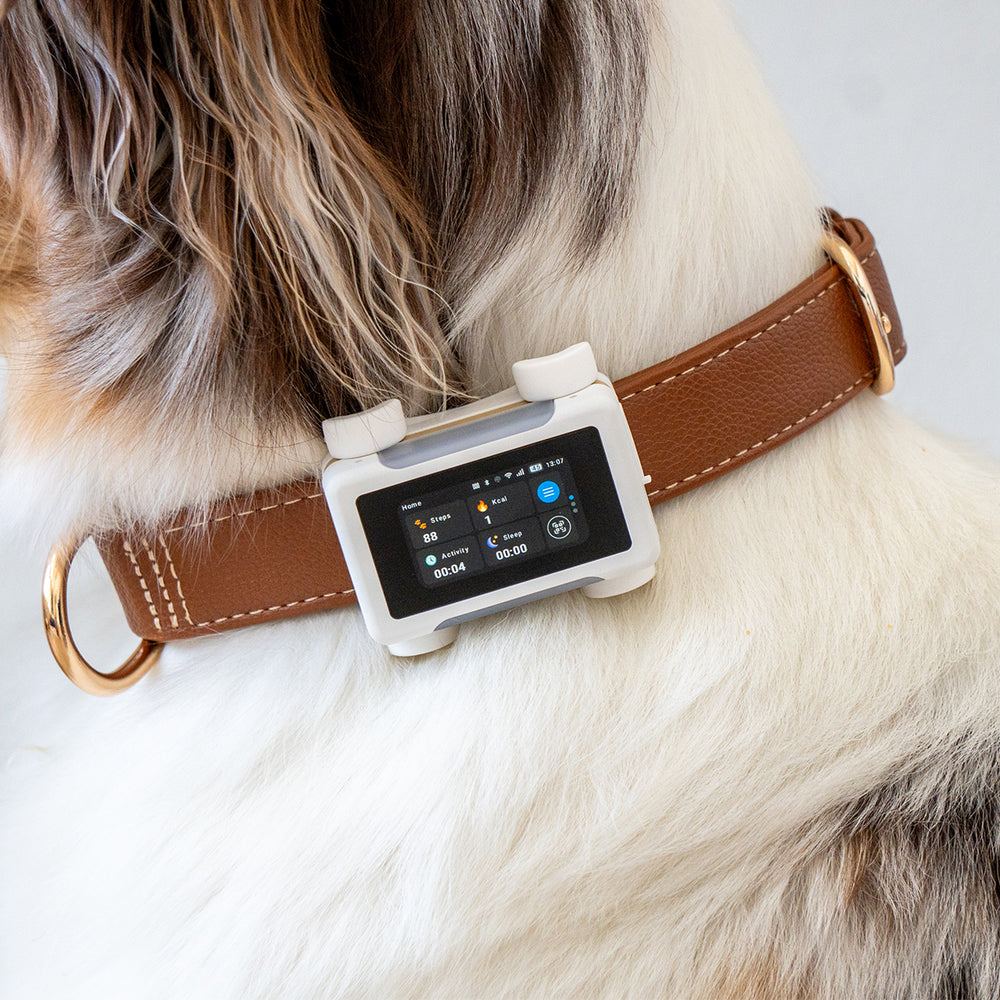 Smart GPS & Health Tracker, White / Gold