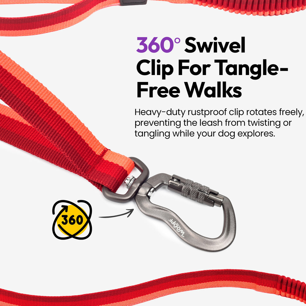 Explorer Bungee Leash, Red