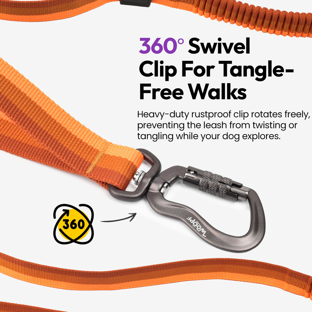 Explorer Bungee Leash, Orange