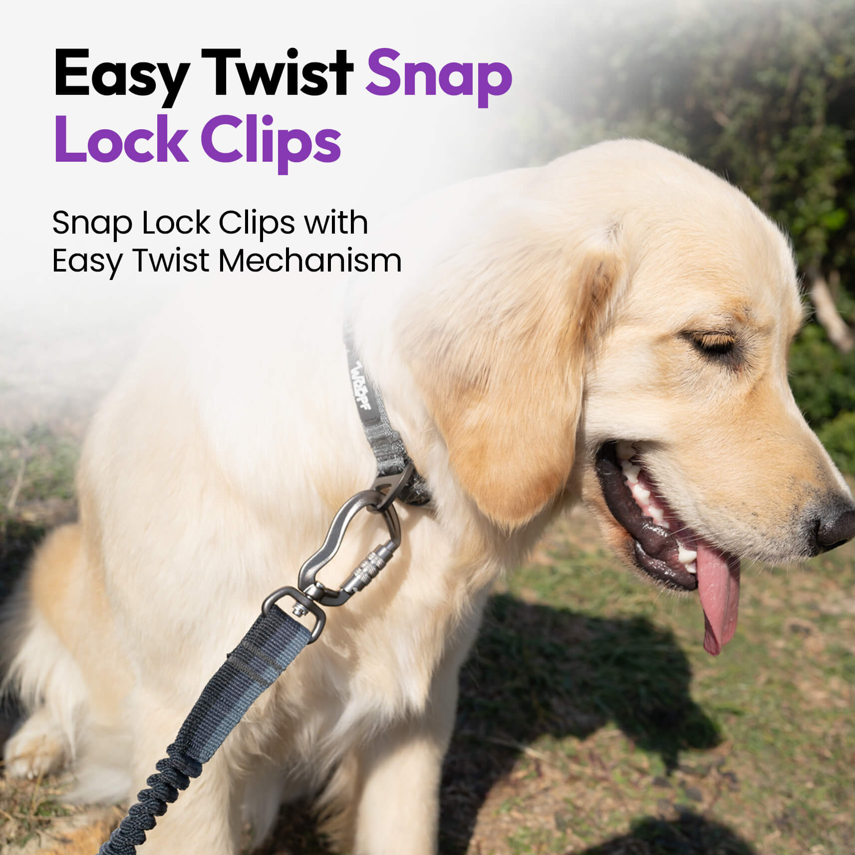 探検者二頭引き犬散歩紐連結具