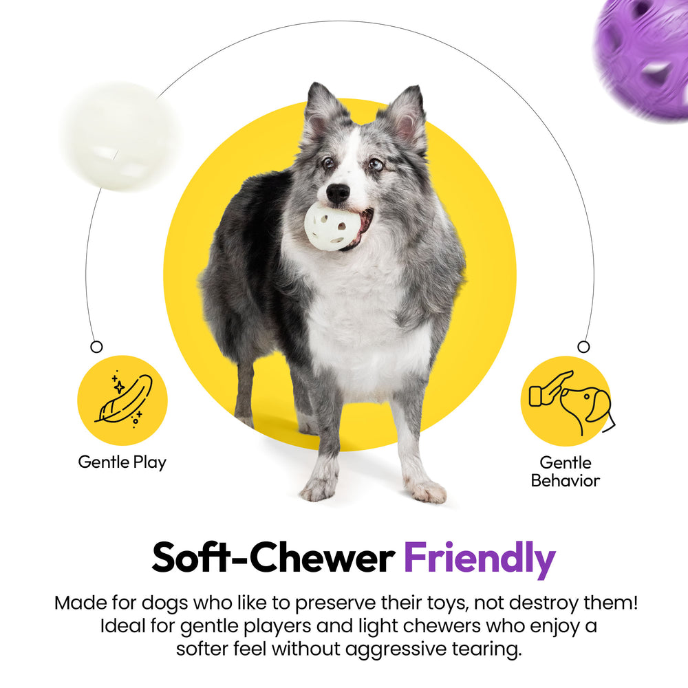 Chase & Sniff Bundle, Glow
