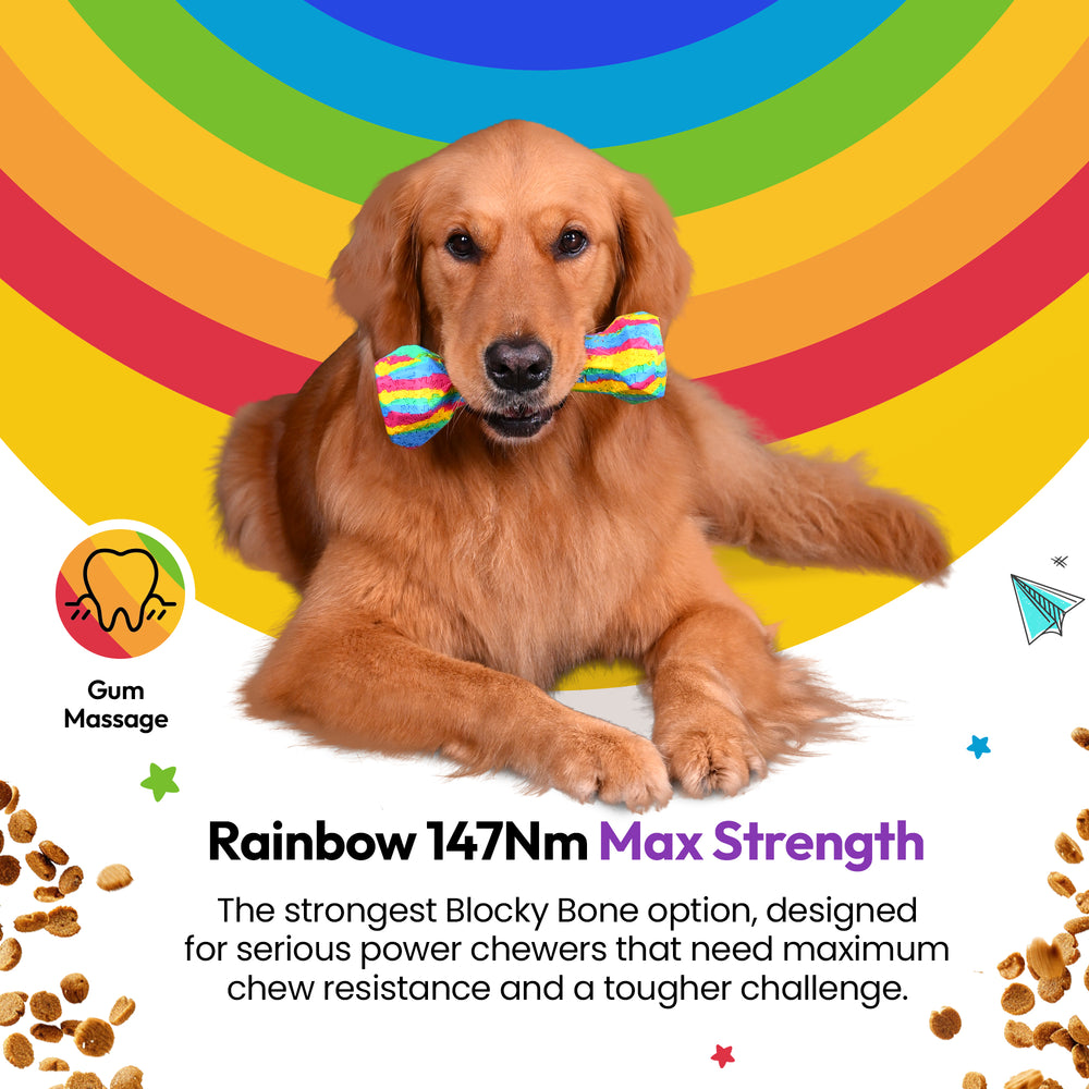 Chewster Blocky Bone, Rainbow