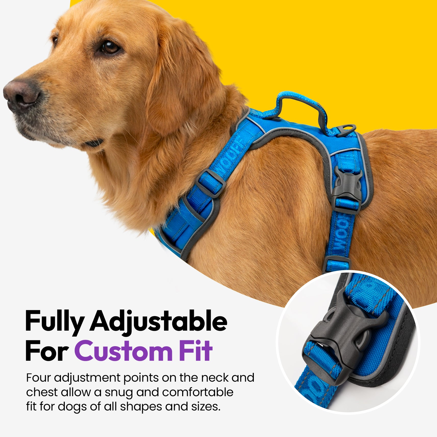 Entdecker Geschirr ohne Ziehen