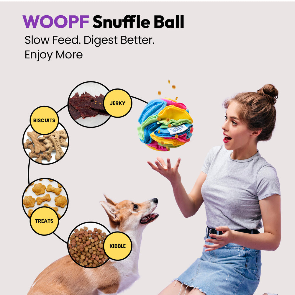 Chase & Sniff Bundle