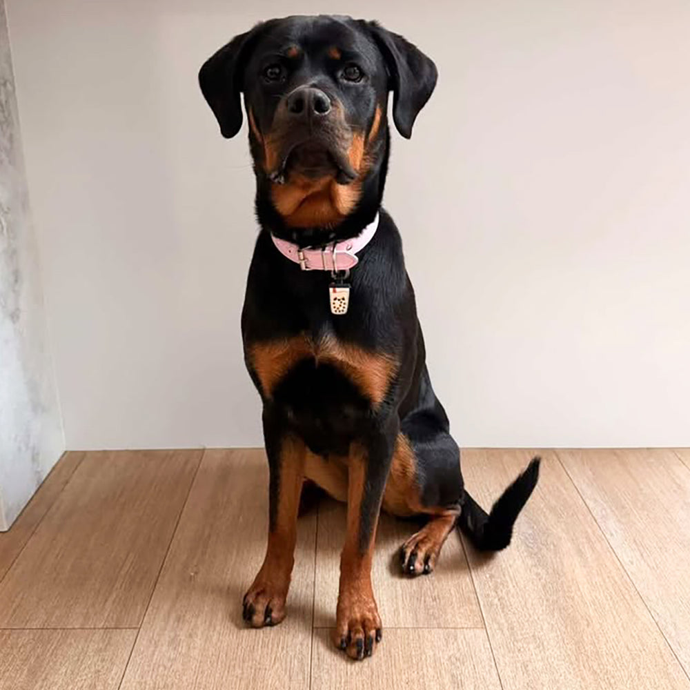 Smart ID Tag, Boba