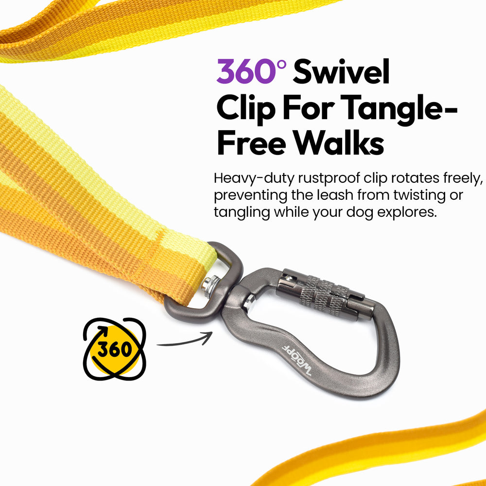Explorer Bungee Leash, Yellow