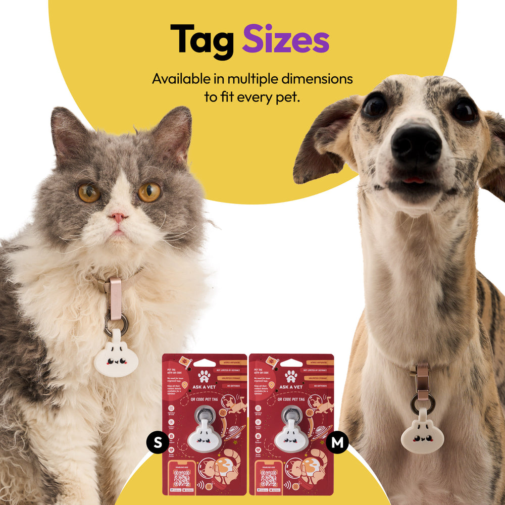Smart ID Tag, Dumpling